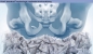 Preview: - Kopie