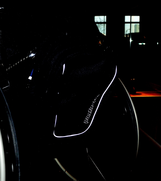 Panthera Rucksack